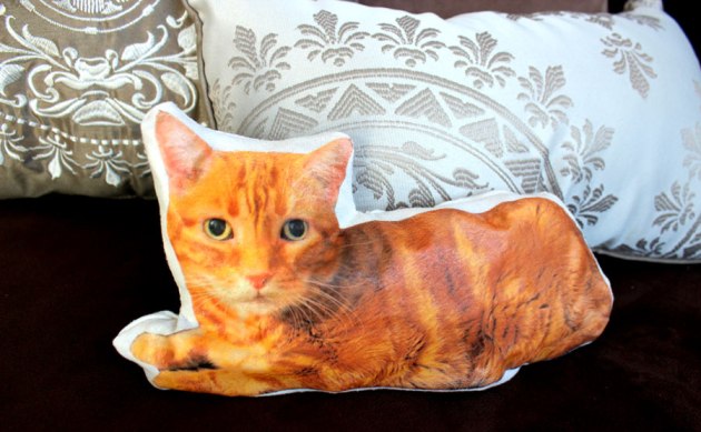 diy-cat-pillow-closeup.jpg